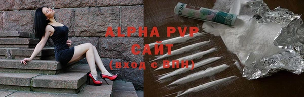 СК Белокуриха