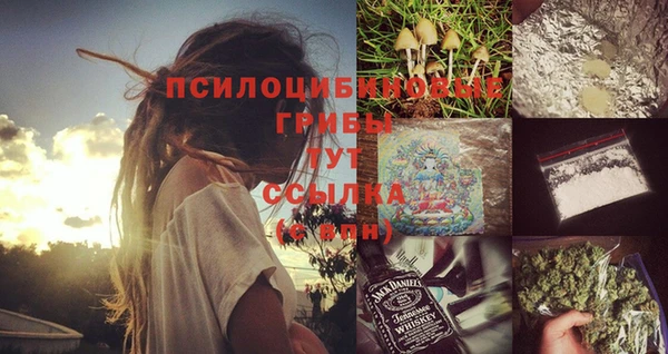 СК Белокуриха